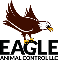 Eagle Animal Control | About